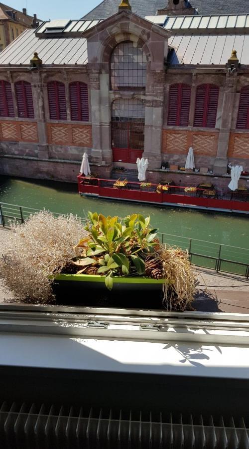 New ! Vue Petite Venise, Place To Be - Parking Colmar Kültér fotó